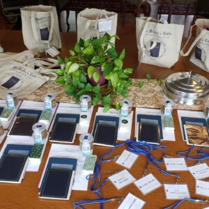 Celebration Set Up 2023